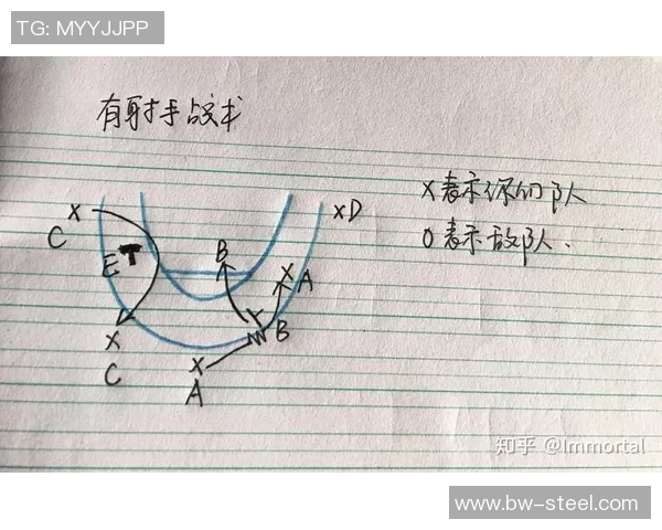 杭州篮球队战术解析与未来发展展望探讨